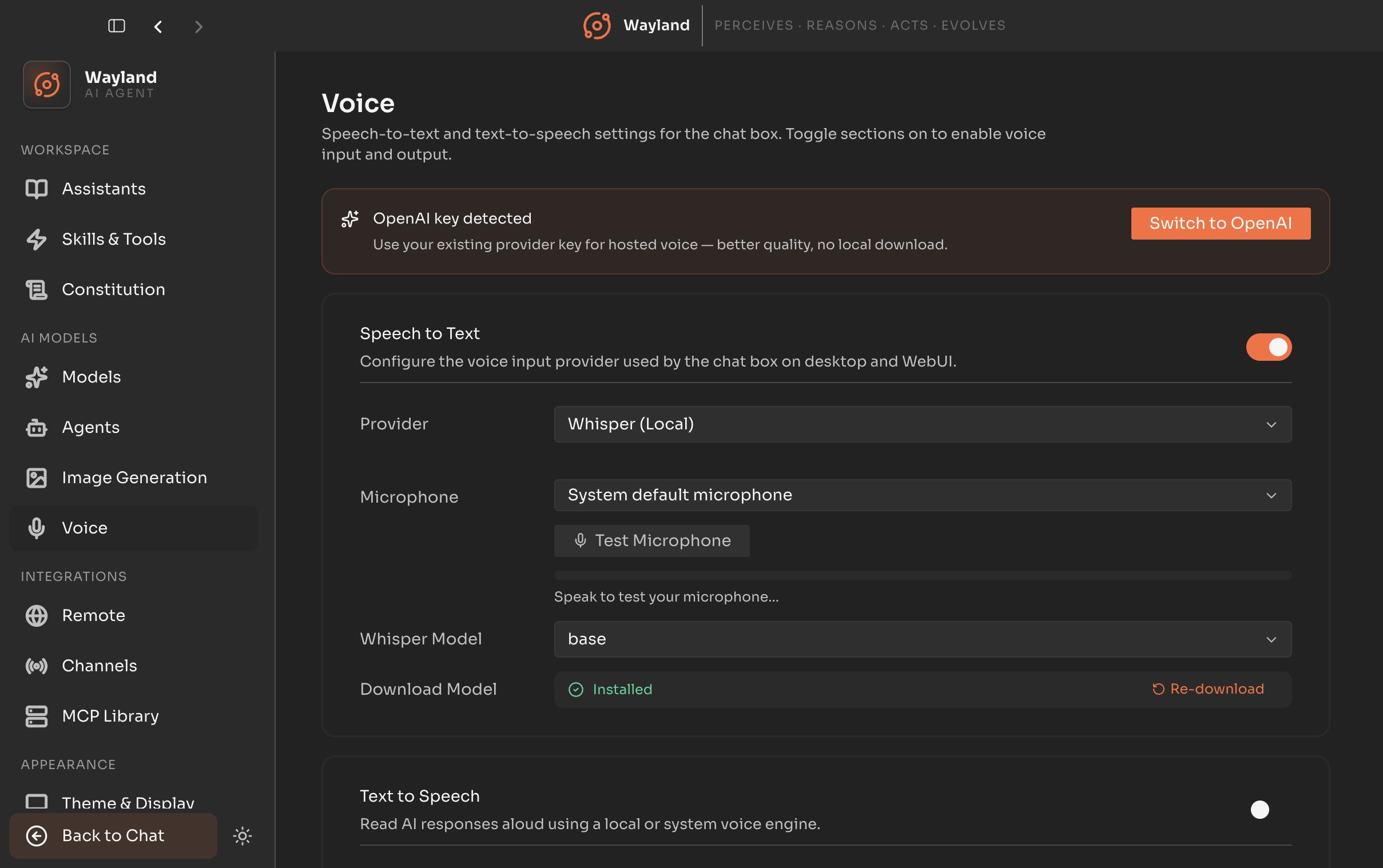 The Voice settings panel covering speech-to-text and text-to-speech